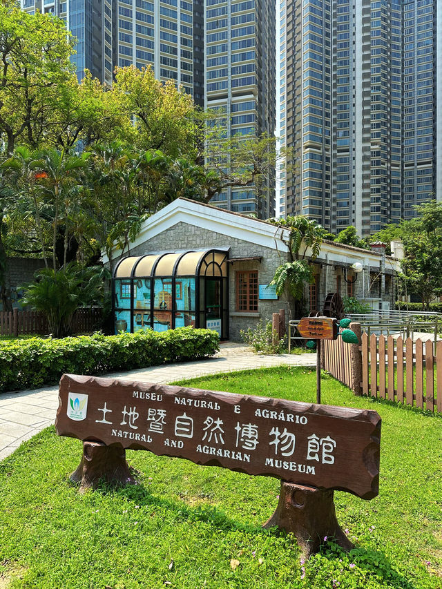 澳門公園｜誰想到免費公園裡還有博物館和動物園