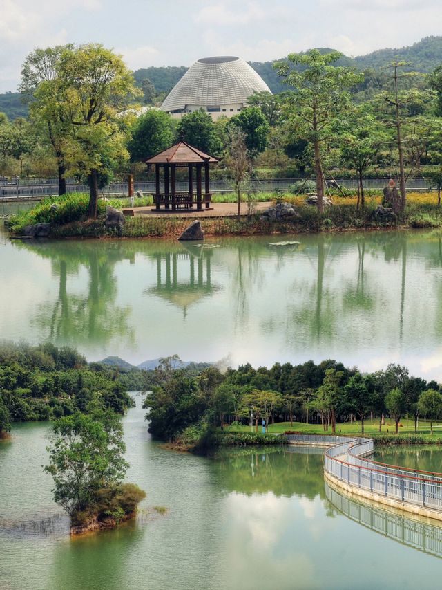 遛娃好去處，城市“綠肺”丨金鐘湖水庫