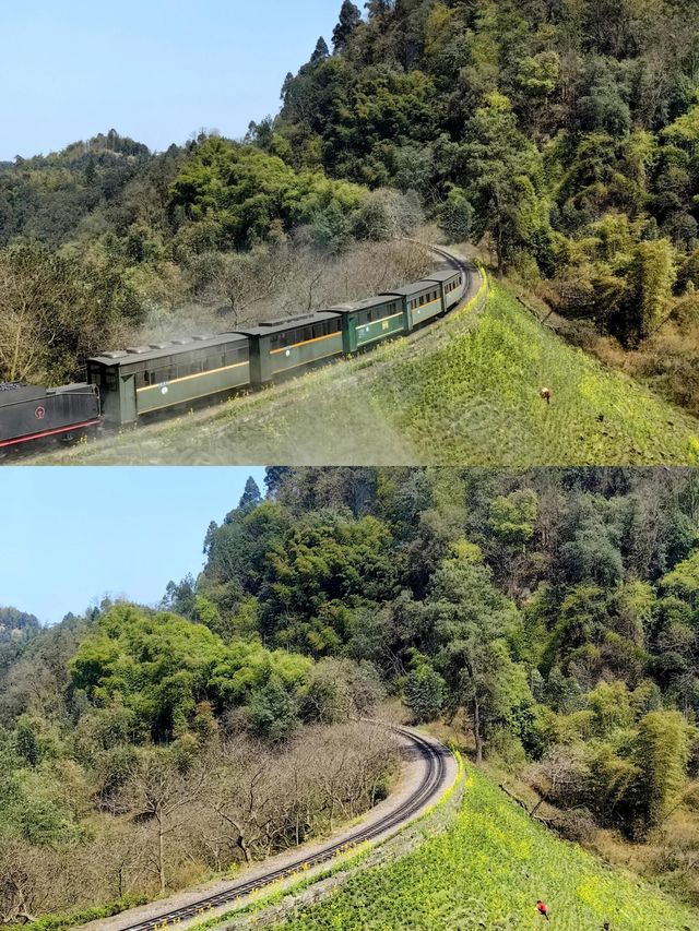 2024嘉陽小火車+油菜花！現在去正是時候|||​主題
