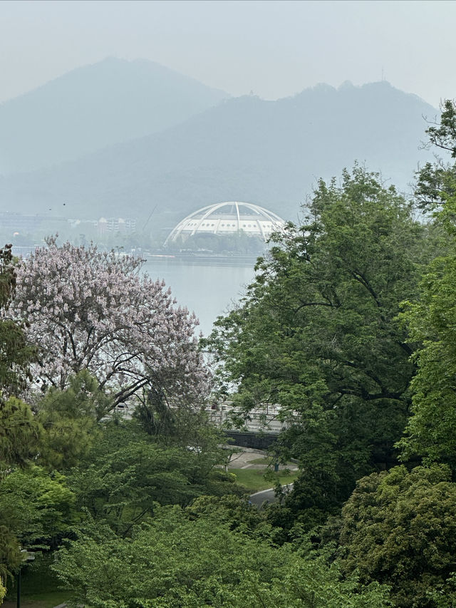 陽春三月下江南，南京城牆，玄武湖，雞鳴寺