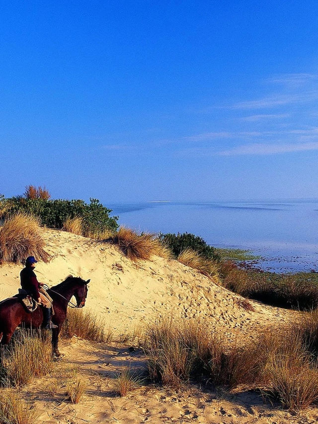 🏞️ Exploring Spain's National Parks