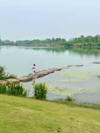 成都！！春天的湖邊小公園很容易讓人感到療癒…