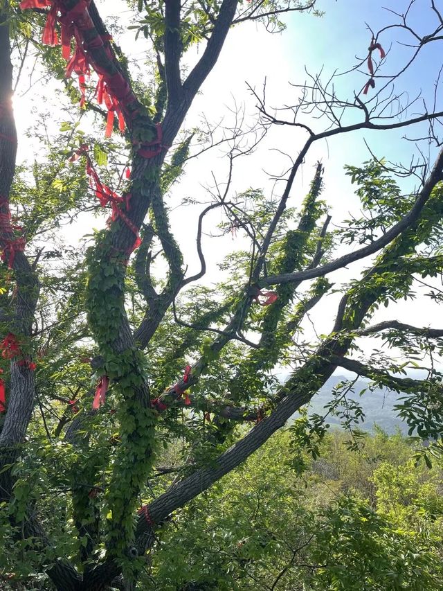 圌山風景名勝區