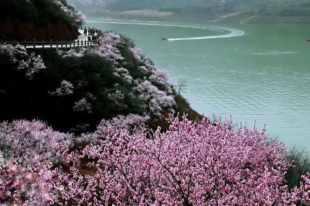 穀雨·崆峒山