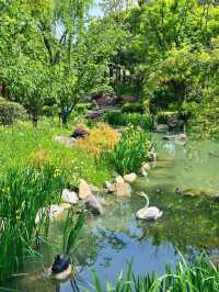 探尋無錫：走進如愛麗絲花園般的仙蠡墩公園