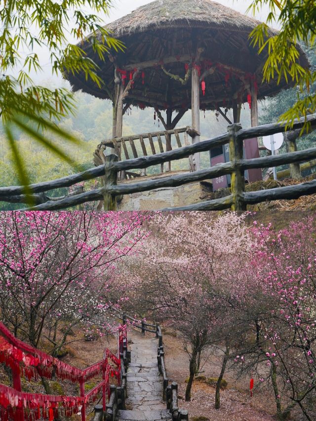羅漢造像的藝術寶庫，仿彿置身「小西天」