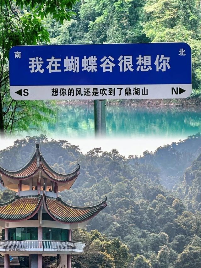 肇慶鼎湖山：廣東四大名山之首，吸氧聖地