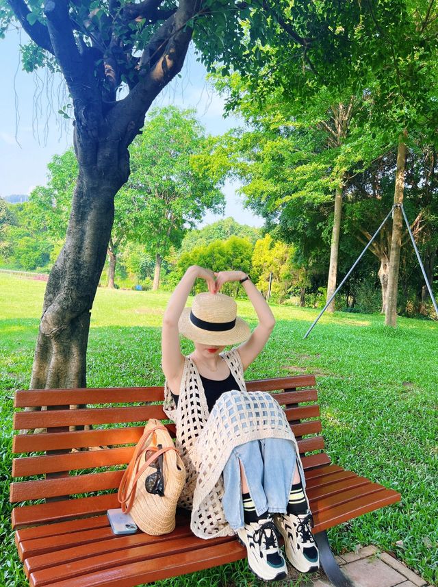 必去！不花錢！深圳公園天花板！