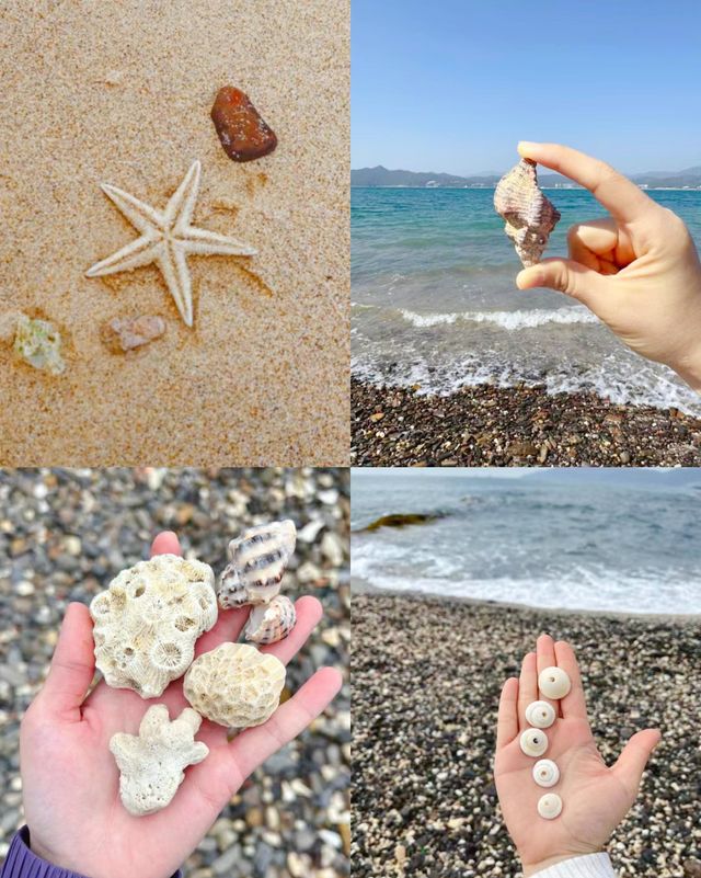 原以為麥理浩徑已經夠美了，直到去了東平洲…
