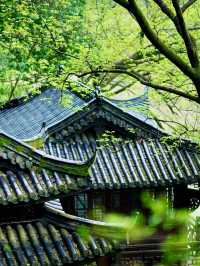 跟隨《長相思》打卡上榜國家地理的江南秘境
