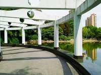 新虹橋中心花園，你玩得可真花啊