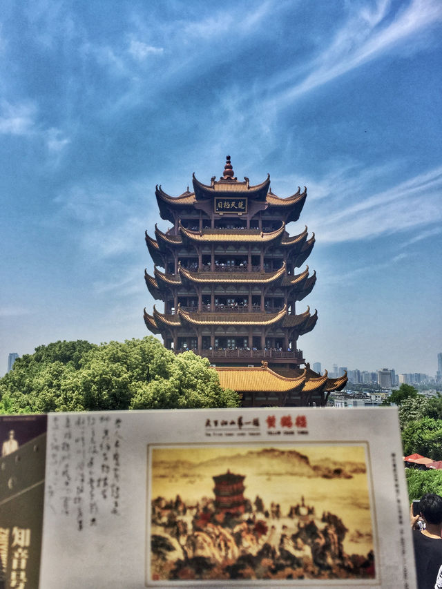 學霸福利來了，會背詩就免票！後悔沒有好好學習了…