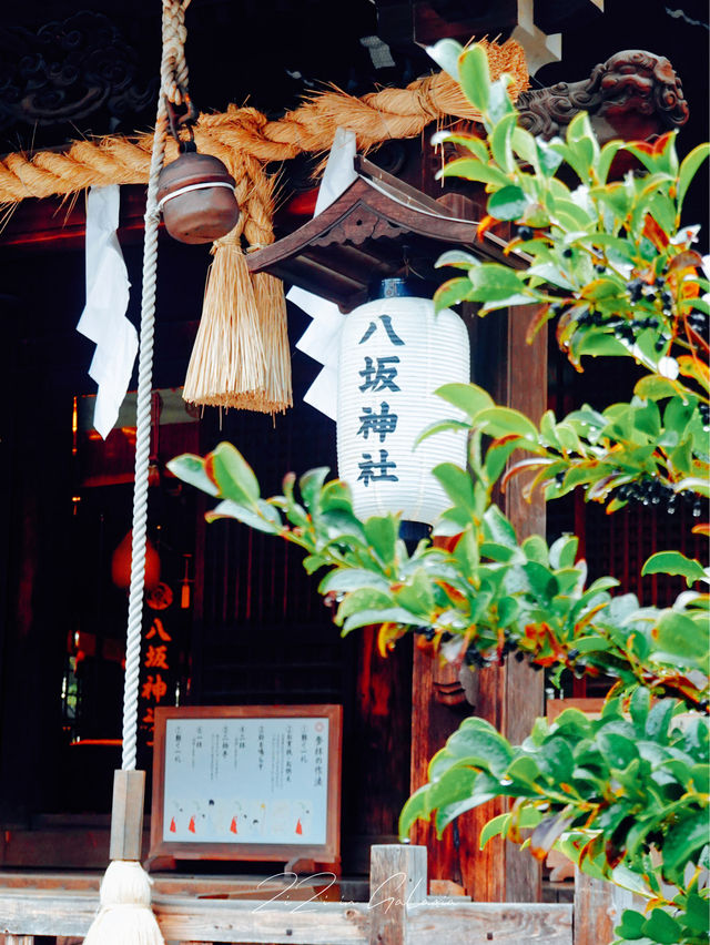 【北九州小倉】春季必去景點！八阪神社感受春天的獨特魅力！