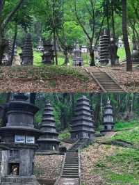 深圳拍照|龍崗∣巴啦啦小魔仙黑魔法取景