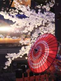 最懂日本櫻花的人都在跟著「百選名所」賞櫻。