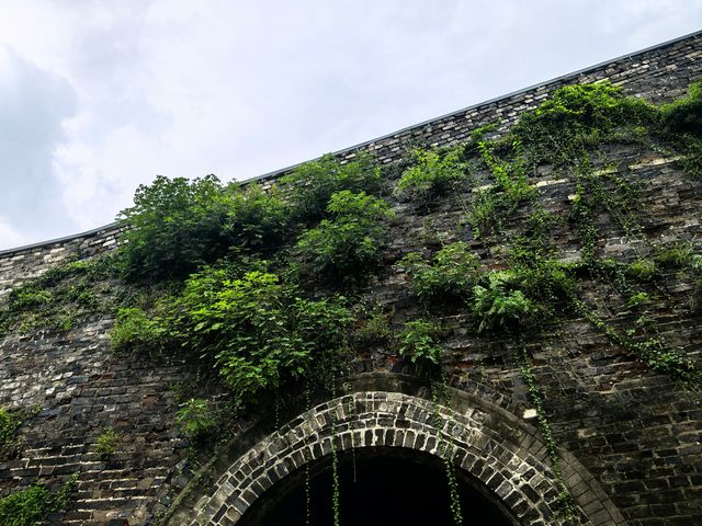 南京古雞鳴寺