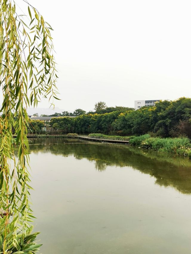 重慶 | 疊水公園