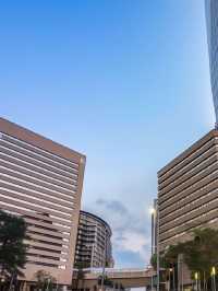 🌟 Sandton's Luxe Sleeps: Sun & Towers Stay 🏨✨
