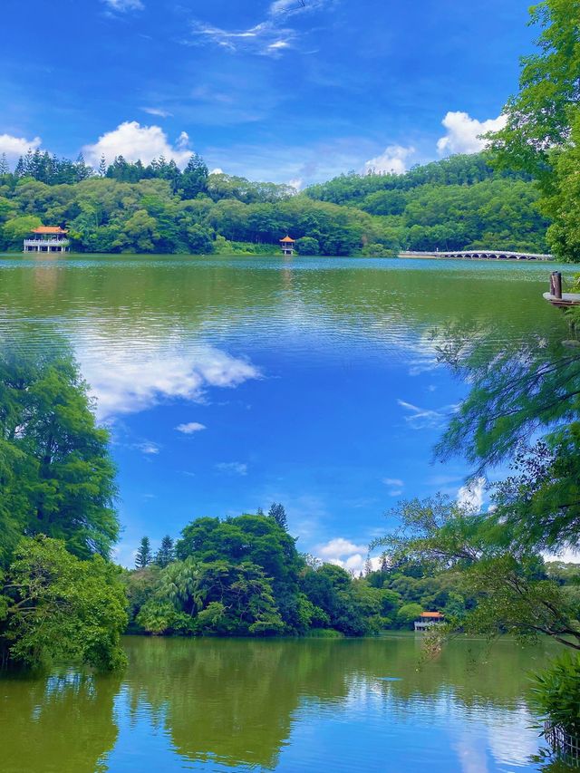 仙湖植物園，我原稱之為深圳小絕境