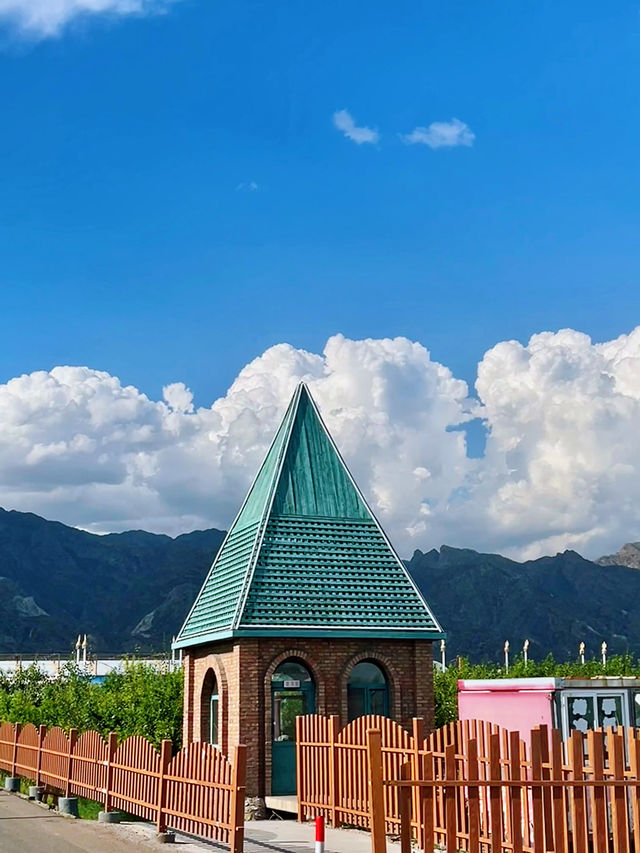 夏日的包頭土默特右旗大雁灘景區，瓜果飄香，風景如詩如畫