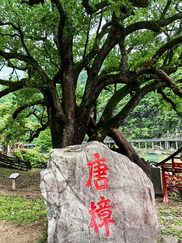 走進景寧畬鄉之窗，體驗了解畬族人的文化和生活習俗！