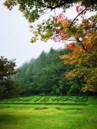 探索四明山秘境：三日行程全攻略。