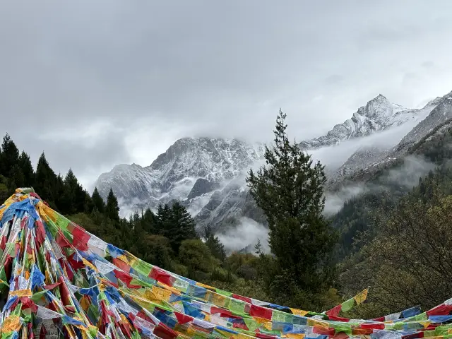 Impressions of Chengdu