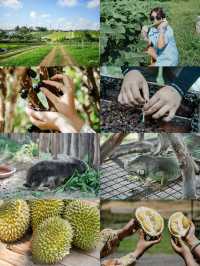 How to enjoy Johor Bahru, Malaysia? Follow this guide!