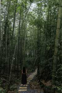 廣州從化｜邂逅最美竹海與山泉瀑布