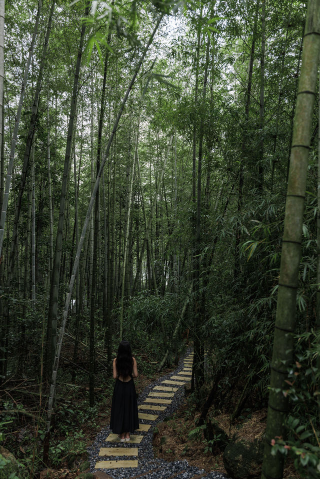 廣州從化｜邂逅最美竹海與山泉瀑布