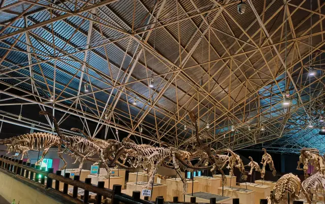 恐龍控們昆明2小時即可達到！