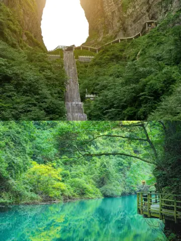 Zhangjiajie Grand Canyon is definitely worth a visit.