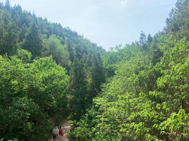 探索之旅：一個不容錯過的文化與自然盛宴。