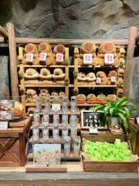 五角場全新開幕 | 隱藏在城市喧嘩中的自然之趣。