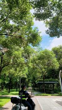 深圳向日葵公園·青綠&清幽。