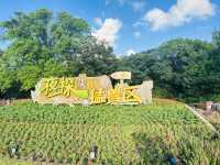 夜遊上海野生動物園
