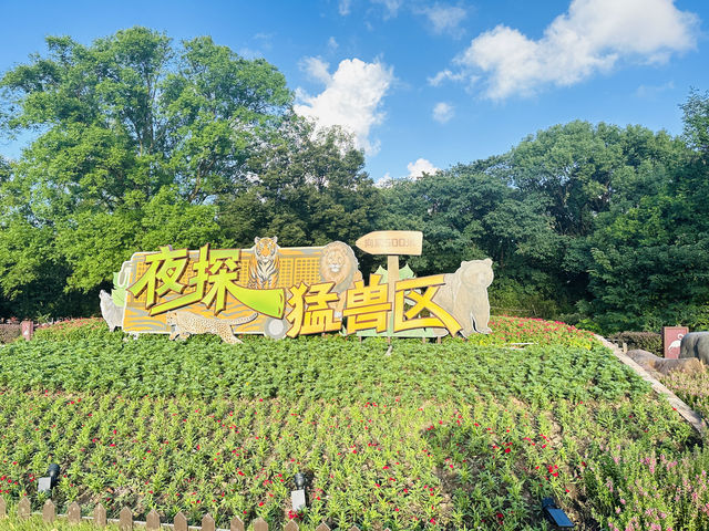 夜遊上海野生動物園