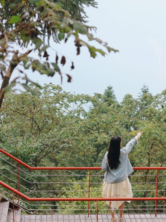 成都周邊遊|這是墮入雲端的浪漫。