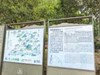 鴛鴦溪國家級風景名勝區位於屏南縣東北部,距離縣城30公里,處於屏南、周寧、政和三縣交界。總面積78.8平方公里。
