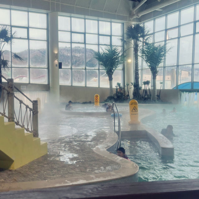 겨울에도 가는 워터파크 휘닉스파크 블루캐니언👙🤿