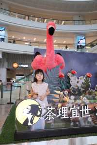 相信大家都知道茶理宜世與廣州動物園推出聯名系列了吧。