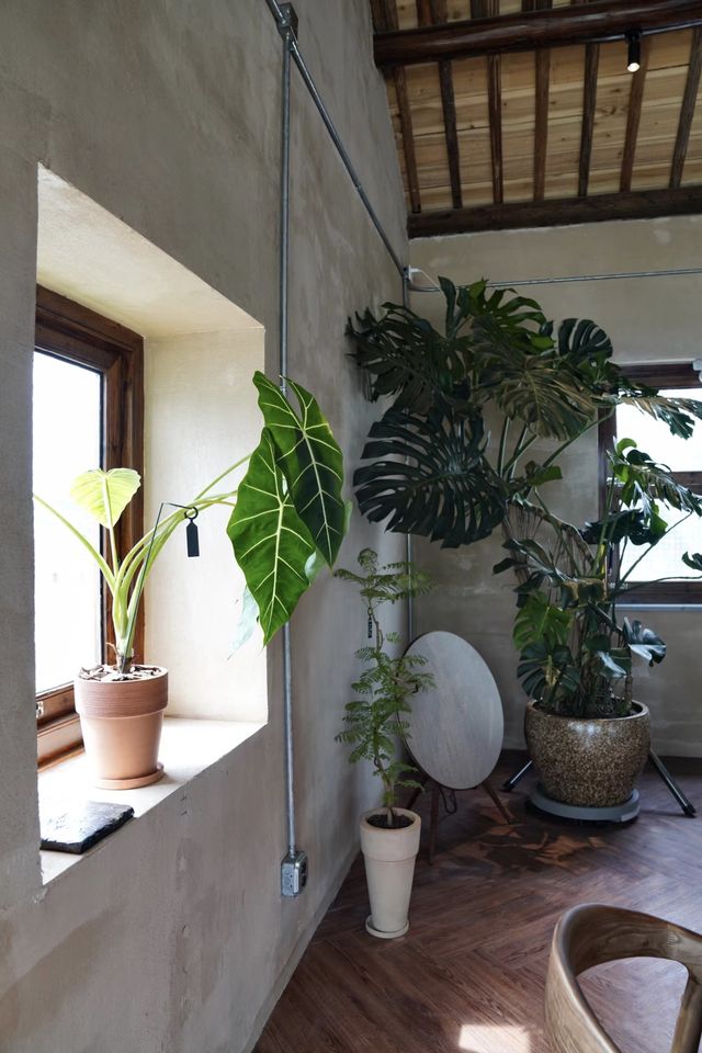 屋頂放空下午咖啡晚上吃…。