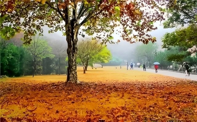 邂逅五蓮山旅遊風景區賞秋日美景。