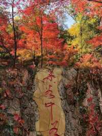 秋色斑斕，紅葉如詩——吉林蛟河紅葉谷。