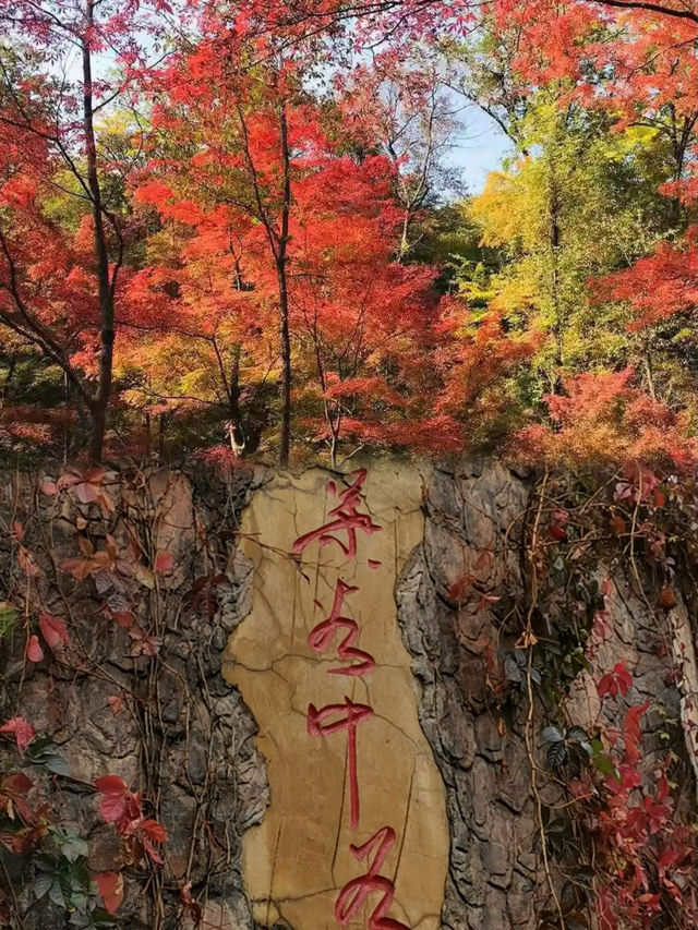 秋色斑斕，紅葉如詩——吉林蛟河紅葉谷。