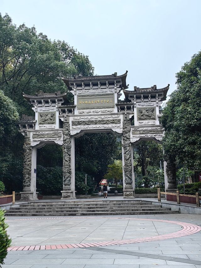 雲碧峰森林國家公園。