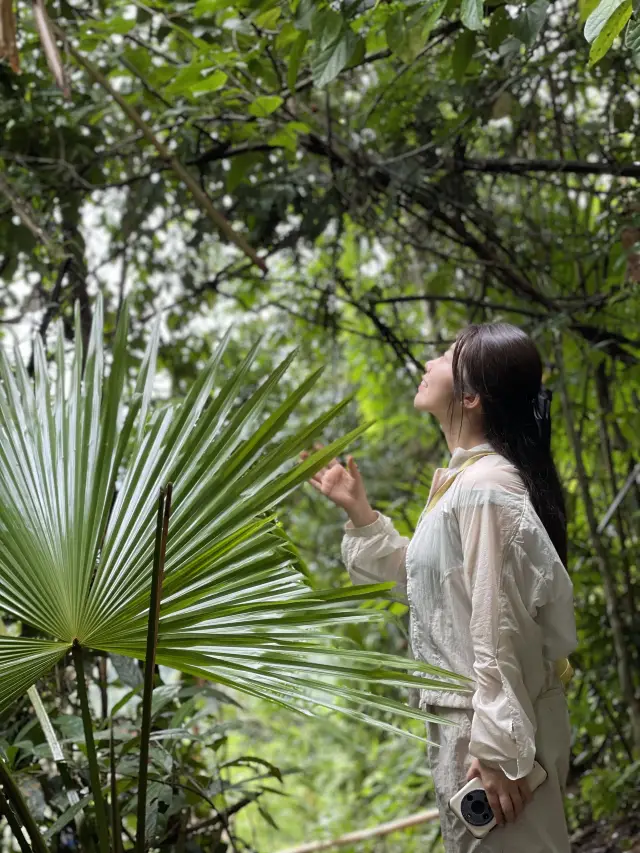 시솽반나 지노산 열대우림 트레킹 아름다운 사진 공유 5.