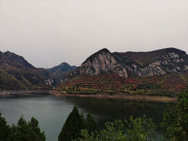 青塔湖濕地公園。