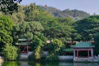 東莞旗峰公園秋日漫步一定要來這地方。
