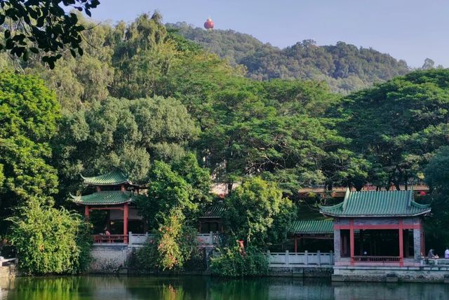 東莞旗峰公園秋日漫步一定要來這地方。